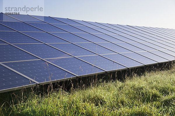 Deutschland  Blick auf Solarmodule zur Stromerzeugung