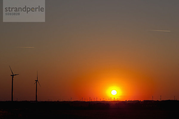 Deutschland  Blick auf Windmühlen bei Sonnenuntergang