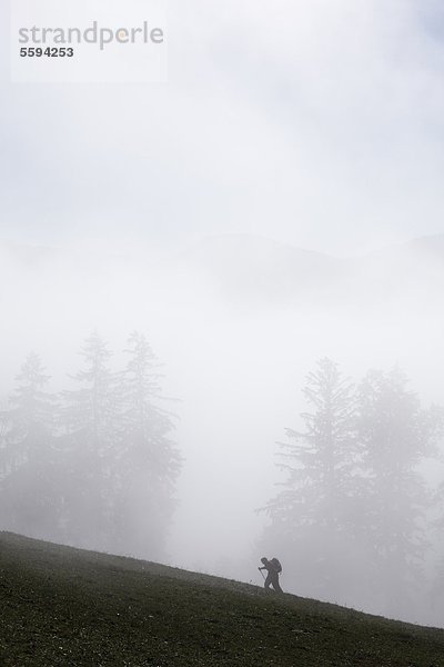 Deutschland  Bayern  Oberbayern  Bergwandern im Nebel