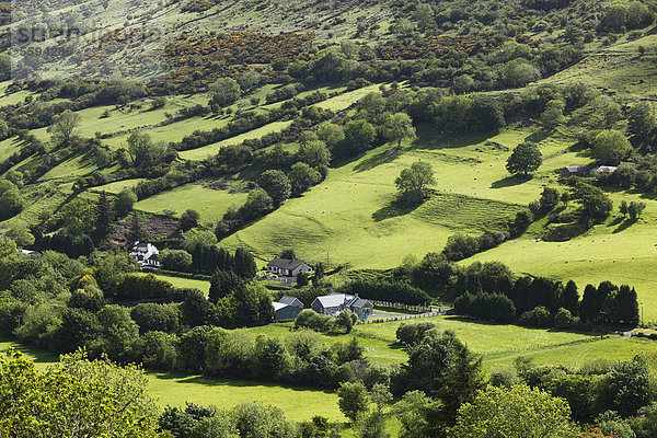 Vereinigtes Königreich  Nordirland  County Antrim  Ansicht der Felder Landschaft