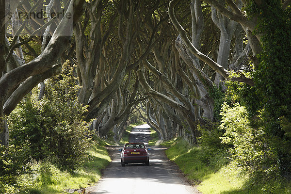 Vereinigtes Königreich  Nordirland  County Antrim  Ansicht des Autos auf der Straße