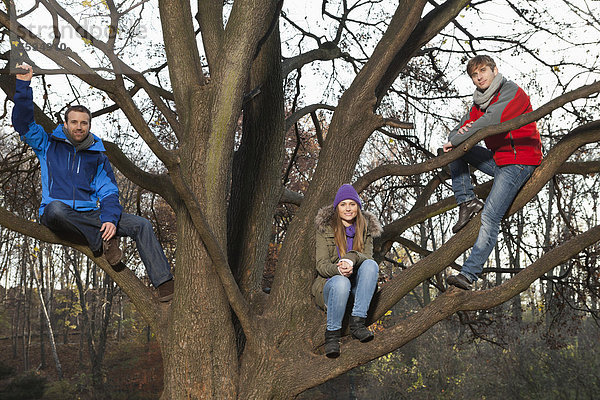 Deutschland  Berlin  Wandlitz  Freunde auf Baum sitzend  Portrait