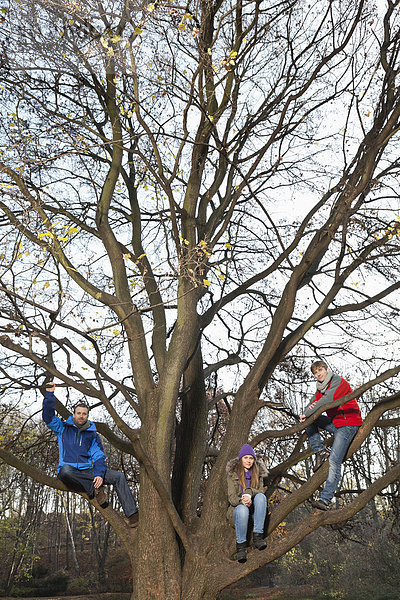 Deutschland  Berlin  Wandlitz  Freunde auf Baum sitzend  Portrait