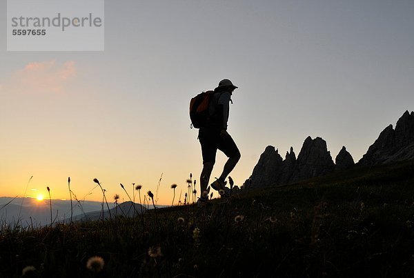 Wanderer in den Dolomiten  Südtirol  Italien