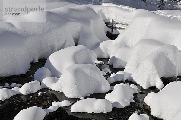 Verschneiter Gebirgsbach  Ultental  Südtirol  Italien