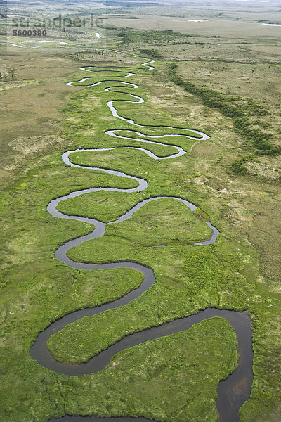 Luftbild der gewundenen King Salmon Creek und umliegenden Tundra in Bristol Bay  Südwest Alaska  Sommer