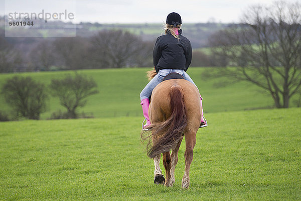 Jugendlicher  Feld  reiten - Pferd  Mädchen