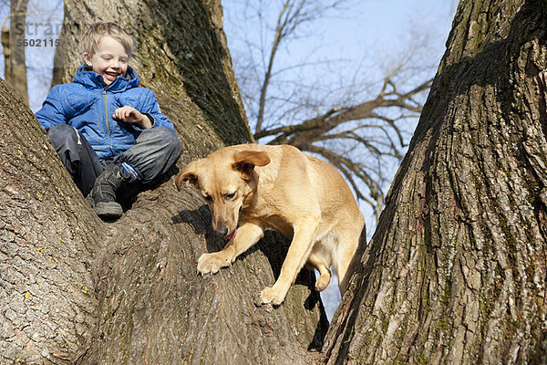 Junge und Hund klettern Baum zusammen