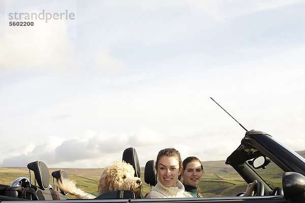 Ländliches Motiv  ländliche Motive  Frau  Landschaft  fahren  Hund