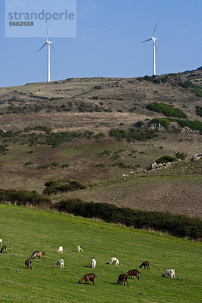 Windturbine  Windrad  Windräder  Ländliches Motiv  ländliche Motive  Landschaft  Ignoranz