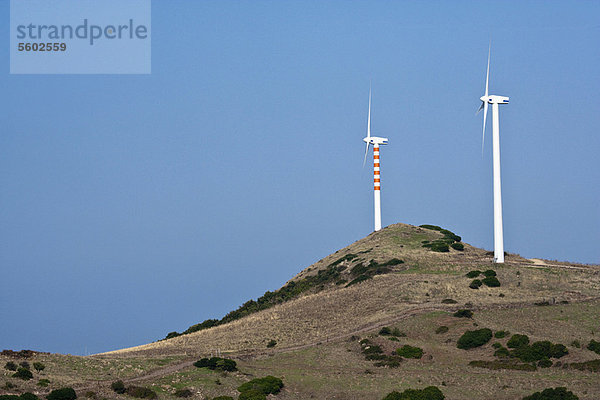 Windturbine  Windrad  Windräder  Ländliches Motiv  ländliche Motive  Landschaft  Ignoranz