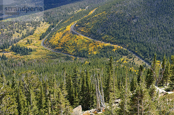 Trail Ridge Road  Rocky Mountain National Park  Colorado  USA