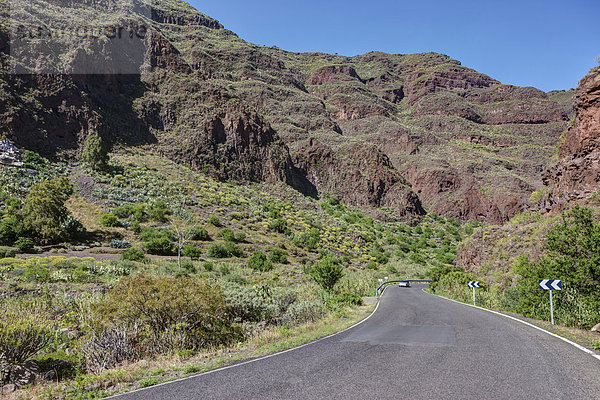 Die Berge um Barranco de Guayadeque  Region Taidia  Gran Canaria  Kanarische Inseln  Spanien  Europa