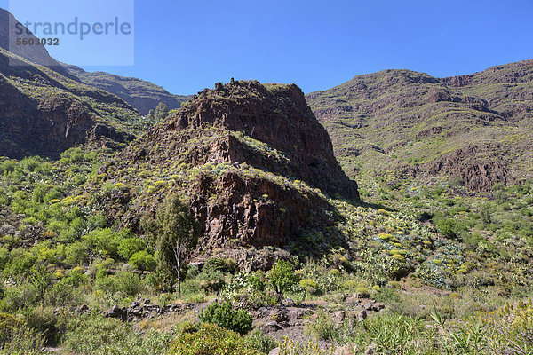 Die Berge um Barranco de Guayadeque  Region Taidia  Gran Canaria  Kanarische Inseln  Spanien  Europa