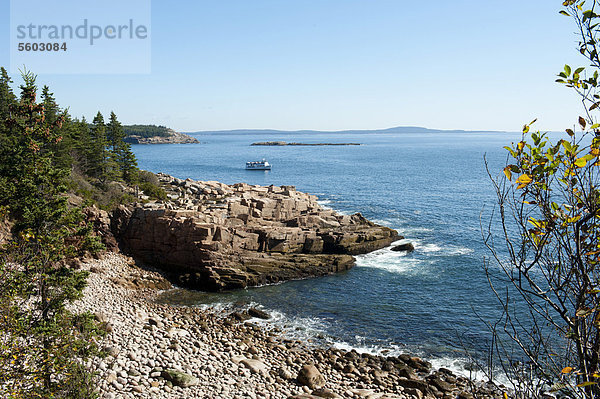 Blick auf die felsige Küste und das Meer vom Ocean Trail  Acadia National Park  Mount Desert Island  Maine  Neuengland  USA  Nordamerika  Amerika