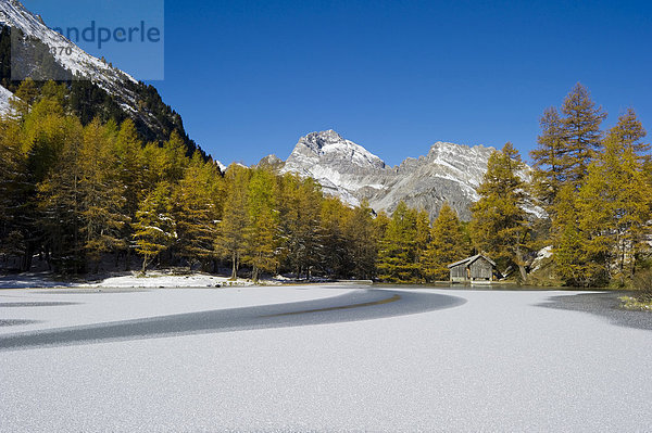 Palpuognasee  Bergün  Graubünden  Schweiz  Europa