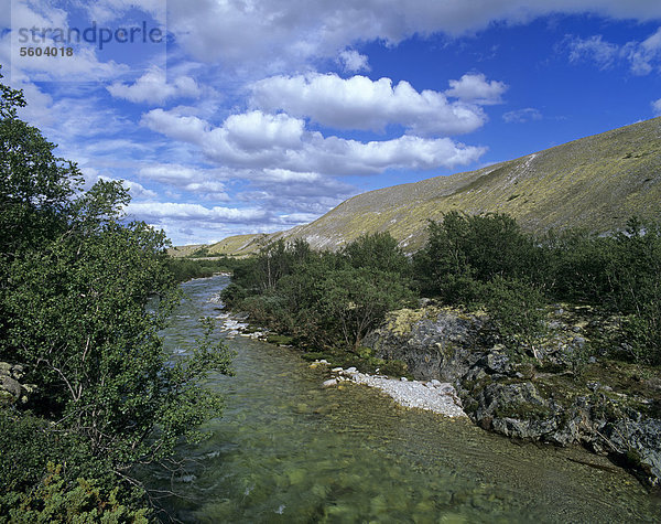Der Fluss Atna im Tal D¯rÂlen  Doralen  Rondane Nationalpark  Norwegen  Skandinavien  Europa