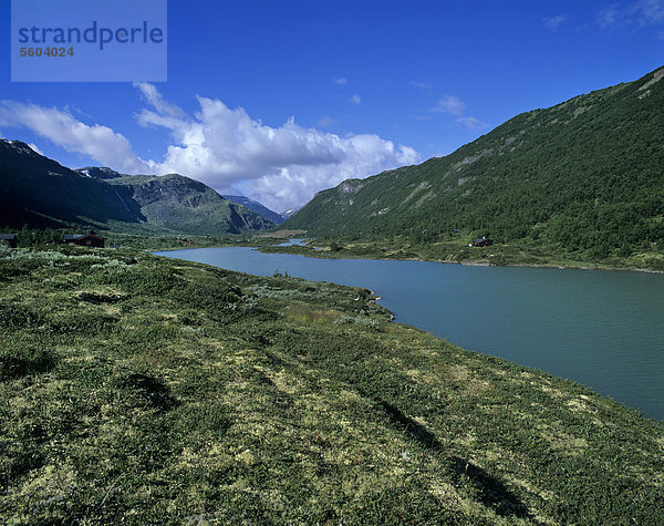 Landschaft im B¯verdalen  Boverdalen  bei Lom  Oppland  Norwegen  Skandinavien  Europa