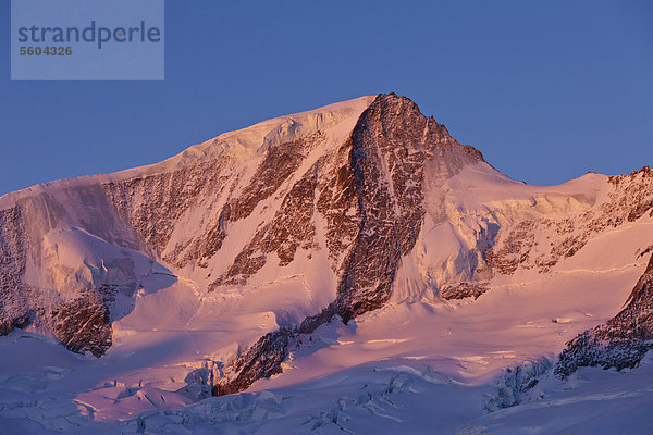 Morgenröte am Wannenhorn  Blick von der Finsteraarhornhütte  Wallis  Schweiz  Europa