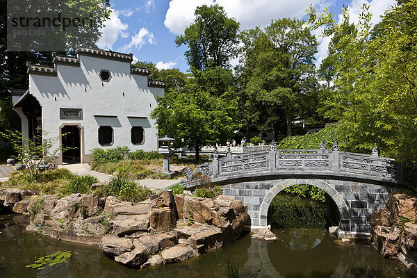 Der Bethmann Park  Chinesischer Garten in Frankfurt am Main  Hessen  Deutschland  Europa