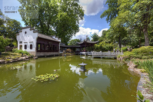 Der Bethmann Park  Chinesischer Garten in Frankfurt am Main  Hessen  Deutschland  Europa