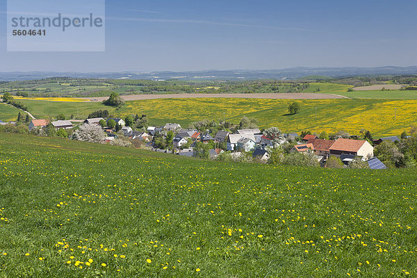 Blick auf Dittersdorf  Frühling  Glashütte  Osterzgebirge  Sachsen  Deutschland  Europa