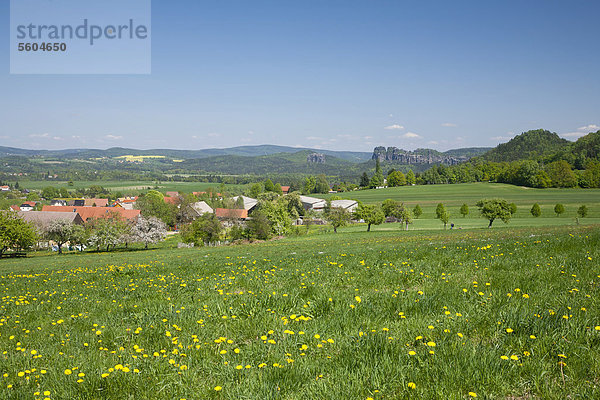 Blick von Papstdorf zu den Schrammsteinen  Elbsandsteingebirge  Sachsen  Deutschland  Europa