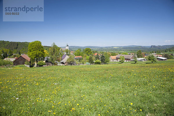 Blick auf Papstdorf mit Kirche  hinten die Schrammsteine  Elbsandsteingebirge  Sachsen  Deutschland  Europa