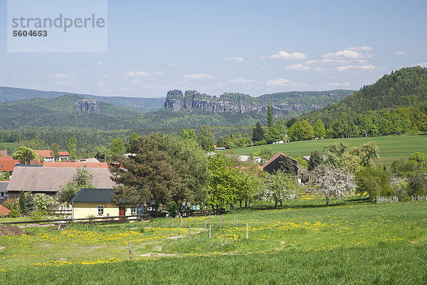 Blick von Papstdorf zu den Schrammsteinen  Elbsandsteingebirge  Sachsen  Deutschland  Europa