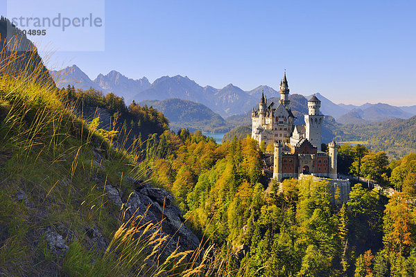 Schloss Neuschwanstein  bei Füssen  Ostallgäu  Allgäu  Bayern  Deutschland  Europa