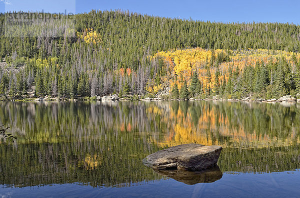 Herbstliche Landschaft spiegelt sich im Bear Lake  Rocky Mountain National Park  Colorado  USA