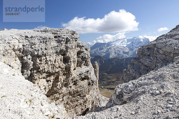 Aussicht vom Sass Pordoi auf die Marmolada  Sella-Gruppe  Sellaronda  Dolomiten  Italien  Europa