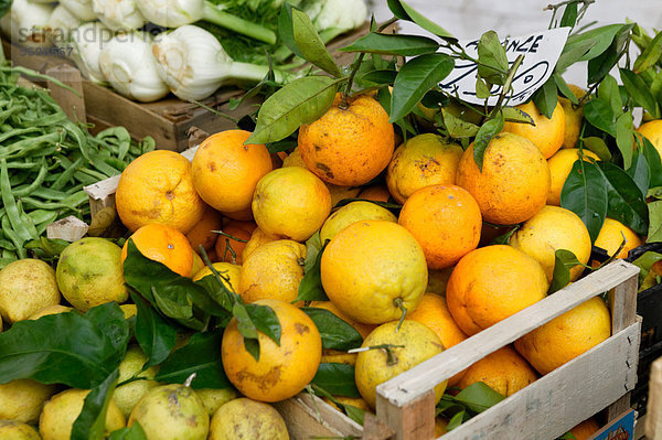 Obst und Gemüse zum Verkauf  Markt in Tropea  Kalabrien  Italien  Europa