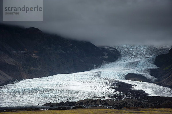 Gletscherzunge Kvi·rjökull  Gletscher Vatnajökull  Austurland  Ost-Island  Austurland  Ost-Island  Island  Europa