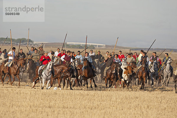 Encierro  Reiter auf Pferden beim Stiertrieb  vom Land zur Medina del Campo  Valladolid  Kastilien-LeÛn  Nordspanien  Spanien  Europa