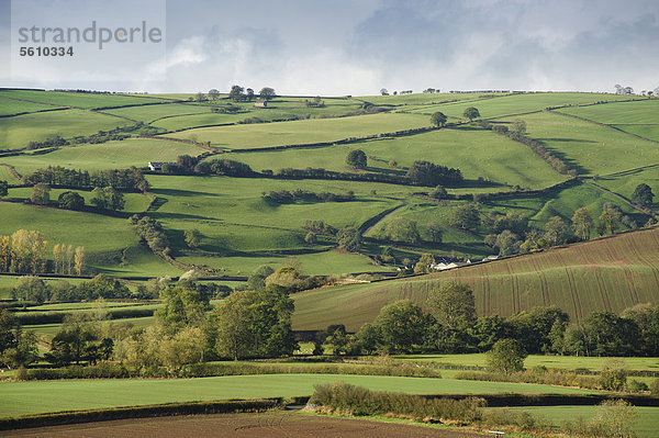 Blick auf ländliches Gebiet mit Ackerland und gemischtem Acker- und Weideland mit Hecken  Clun  Shropshire  England  Großbritannien  Europa