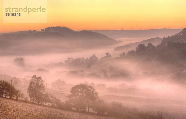 Nebel und Frost im Tal bei Sonnenaufgang  Upper Severn-Tal  Hafren Valley  in der Nähe von Llanidloes  Powys  Wales  Großbritannien  Europa