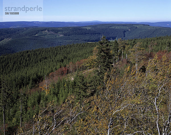 Blick über den Thüringer Wald vom Aussichtsturm auf dem Berg Kickelhahn bei Ilmenau  Thüringen  Deutschland  Europa