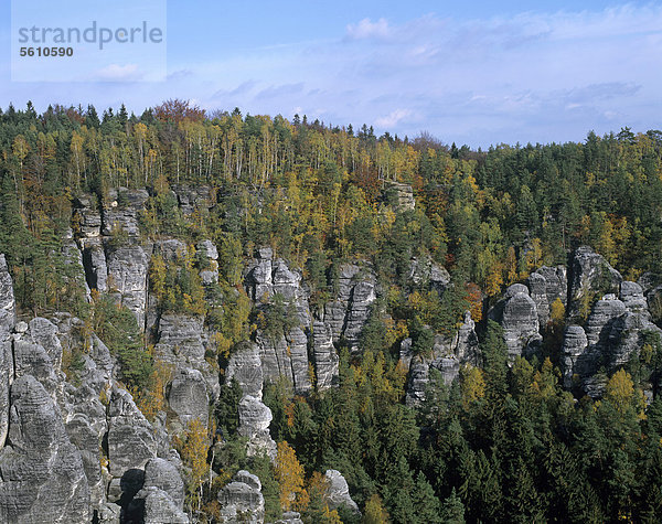 Elbsandsteingebirge  Nationalpark Sächsische Schweiz  Sachsen  Deutschland  Europa