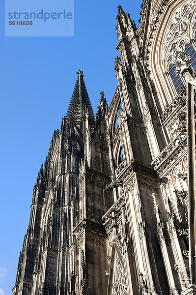 Kölner Dom  UNESCO Weltkulturerbe  Köln  Nordrhein-Westfalen  Deutschland  Europa