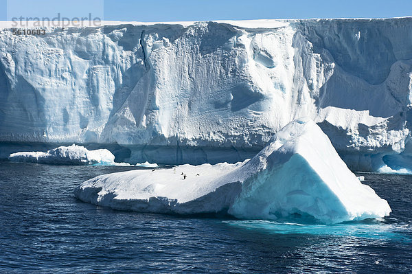 Antarctic-Sund  Antarktische Halbinsel  Antarktis