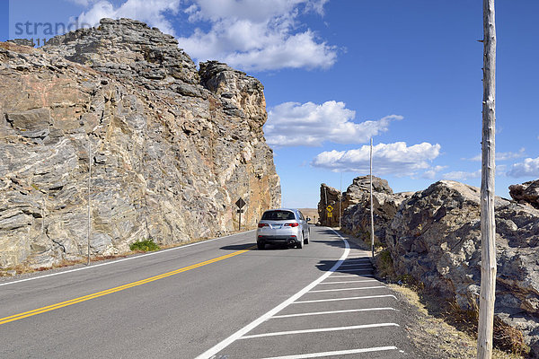 Rock Cut  Trail Ridge Road  Rocky Mountain National Park  Colorado  USA