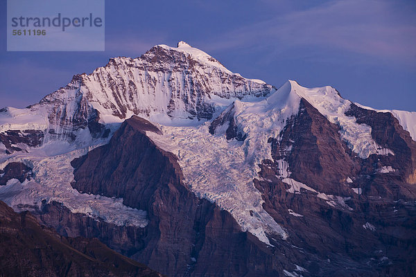 Abendstimmung an der Jungfrau  Blick von Schynige Platte  Berner Oberland  Schweiz  Europa