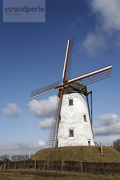 Windmühle  Schellemolen von 1867  Damme  Westflandern  Belgien  Europa