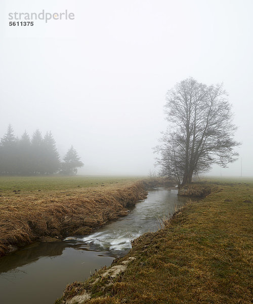Schmutter im Nebel  Naturpark Westliche Wälder  bei Fischach  Bayern  Deutschland  Europa