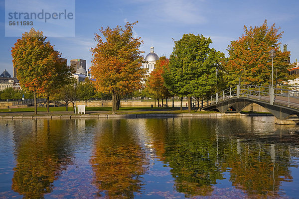 Bäume spiegeln sich im Bassin de Bonsecours im Herbst  Old Port of Montreal  Quebec  Kanada