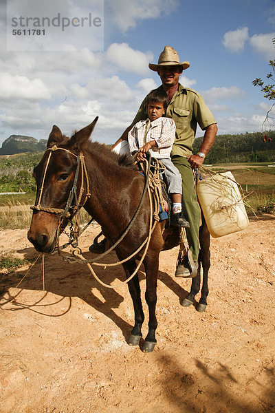 Tabak Bauer Karibik reiten - Pferd Viñales Kuba Große Antillen