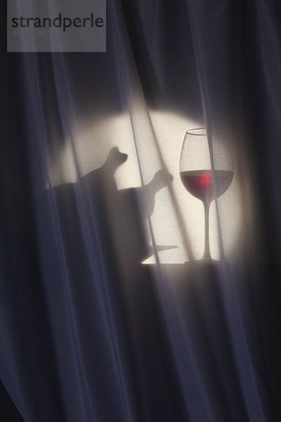 Silhouette eines Dinners mit Rotwein und Geflügel