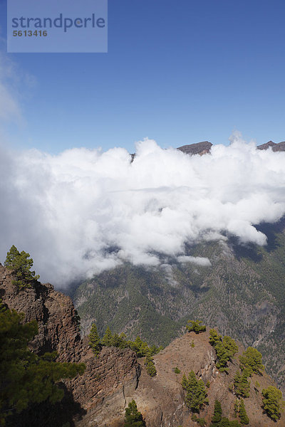 Nationalpark Caldera de Taburiente  Blick vom Pico Bejenado  La Palma  Kanaren  Kanarische Inseln  Spanien  Europa Caldera de Taburiente Nationalpark