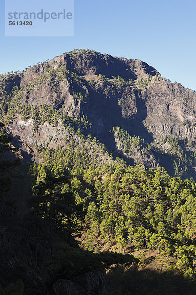 Pico Bejenado  Nationalpark Caldera de Taburiente  La Palma  Kanaren  Kanarische Inseln  Spanien  Europa Caldera de Taburiente Nationalpark